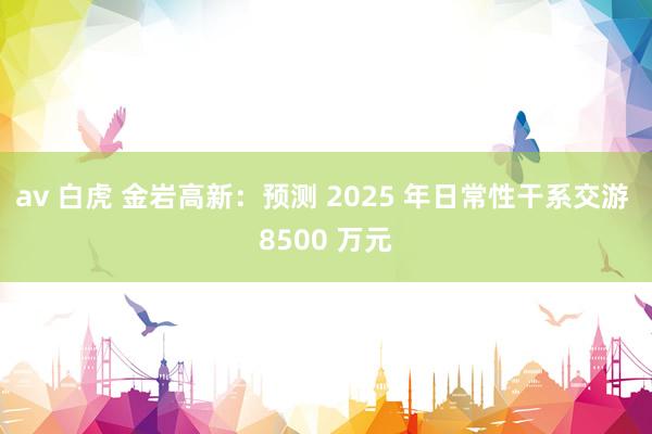 av 白虎 金岩高新：预测 2025 年日常性干系交游 8500 万元