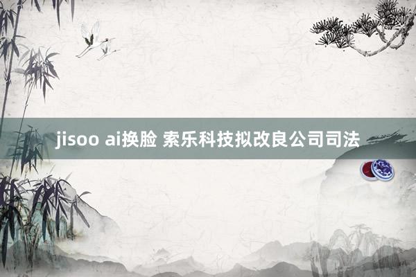 jisoo ai换脸 索乐科技拟改良公司司法