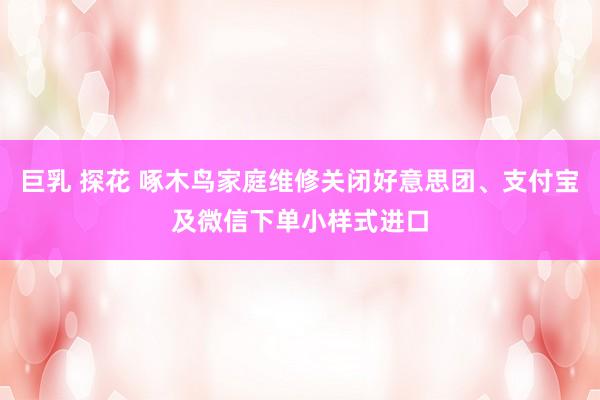 巨乳 探花 啄木鸟家庭维修关闭好意思团、支付宝及微信下单小样式进口