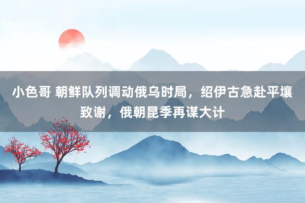 小色哥 朝鲜队列调动俄乌时局，绍伊古急赴平壤致谢，俄朝昆季再谋大计