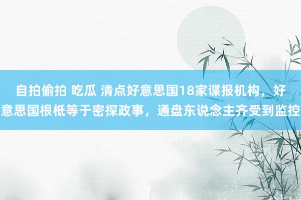 自拍偷拍 吃瓜 清点好意思国18家谍报机构，好意思国根柢等于密探政事，通盘东说念主齐受到监控
