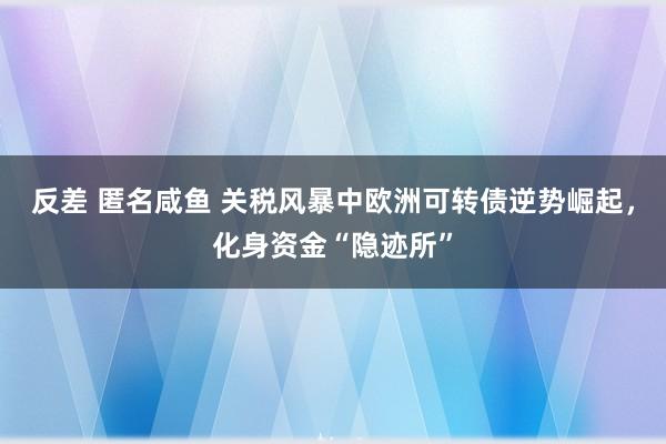 反差 匿名咸鱼 关税风暴中欧洲可转债逆势崛起，化身资金“隐迹所”