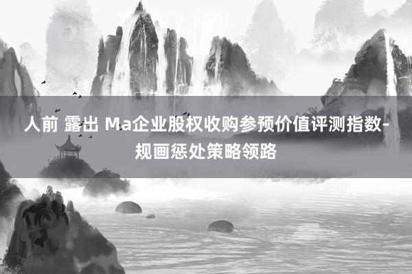 人前 露出 Ma企业股权收购参预价值评测指数-规画惩处策略领路