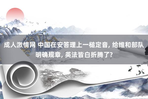 成人激情网 中国在安答理上一槌定音, 给维和部队明确规章, 英法皆白折腾了?
