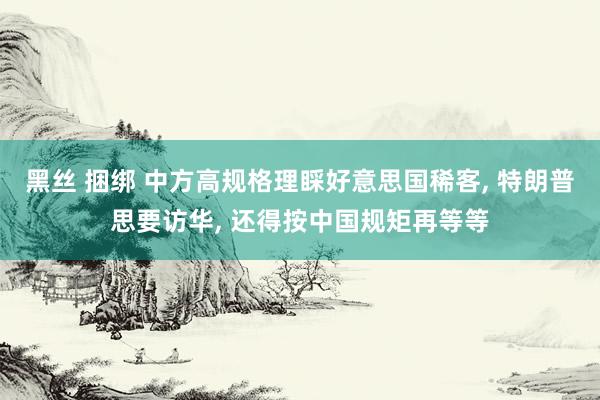 黑丝 捆绑 中方高规格理睬好意思国稀客, 特朗普思要访华, 还得按中国规矩再等等