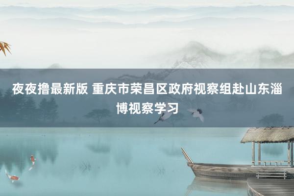 夜夜撸最新版 重庆市荣昌区政府视察组赴山东淄博视察学习