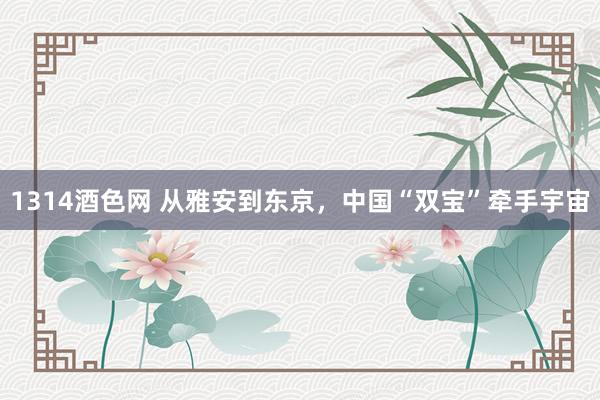 1314酒色网 从雅安到东京，中国“双宝”牵手宇宙