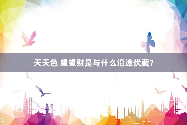 天天色 望望财是与什么沿途伏藏？
