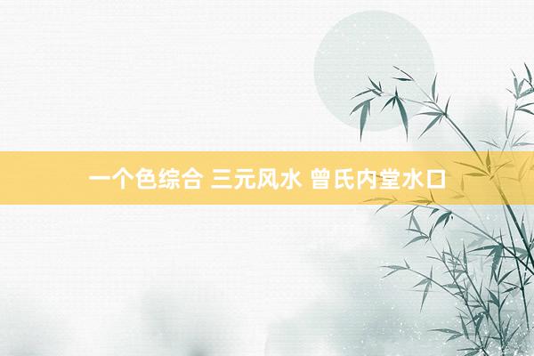 一个色综合 三元风水 曾氏内堂水口
